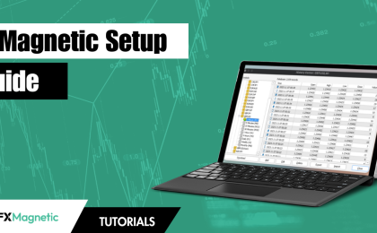 FxMagnetic Setup Guide