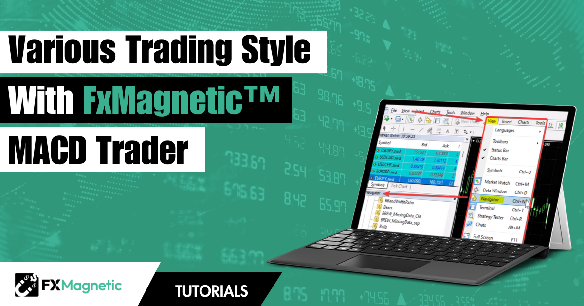 How To Use The MACD Trading Strategies